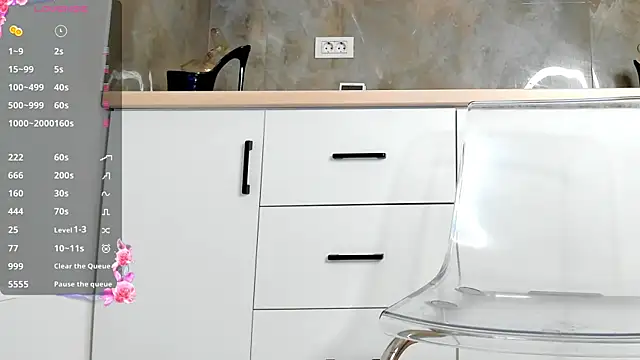 Aidasina webcam