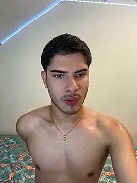 ApoloGray__ webcam