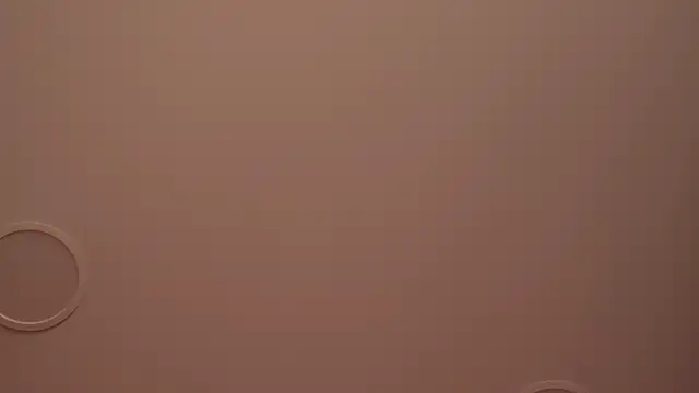 GinaFleming webcam