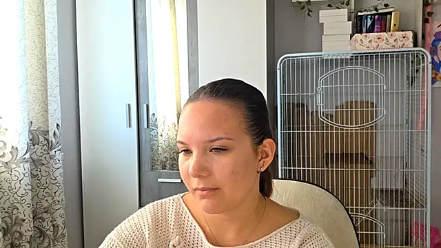 AtticNobel webcam