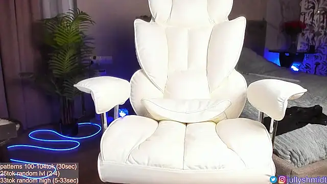 jullyshmidt webcam