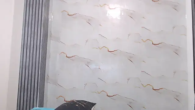 Liaa_cams
