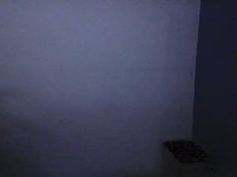 Kalel17073 webcam