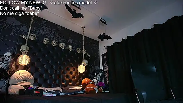 AlexHoe_ webcam