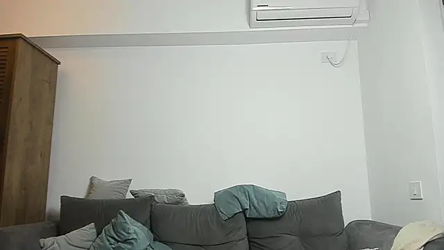 ZkkBlitz webcam