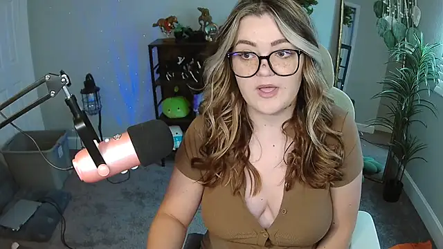 Briieverly webcam