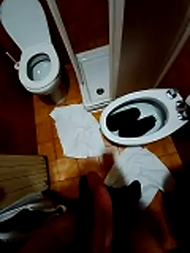Porcopalestratocazzone21 webcam