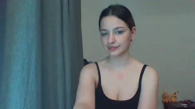 EvelineMagnetic webcam