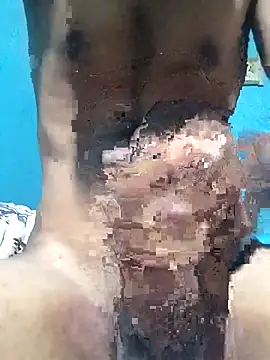 detasuta webcam