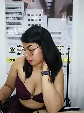 SOFIA-11_ webcam