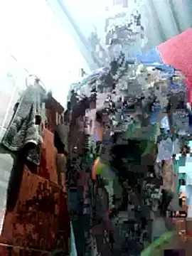 rustico22 webcam