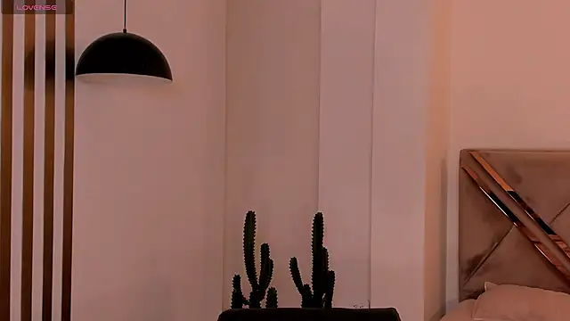 LaurentRosse1 webcam