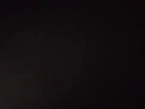 Demonsfuck webcam