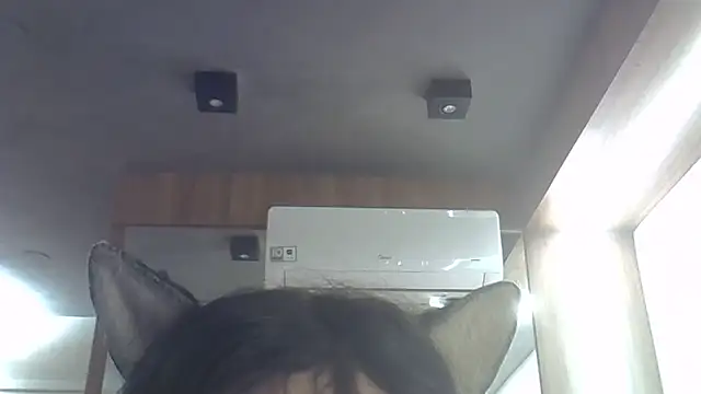 SkinnyKitten webcam