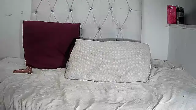 BaselBlues webcam
