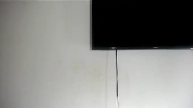 Fox_Loves