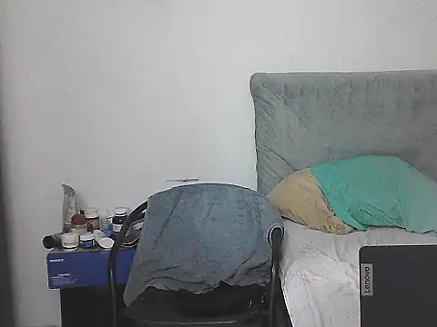 IronSideBear webcam