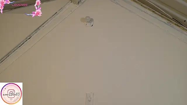 sweetdam12 webcam