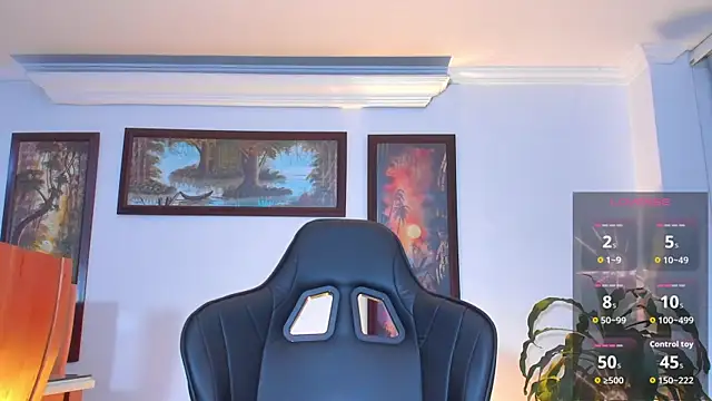RJBarto webcam