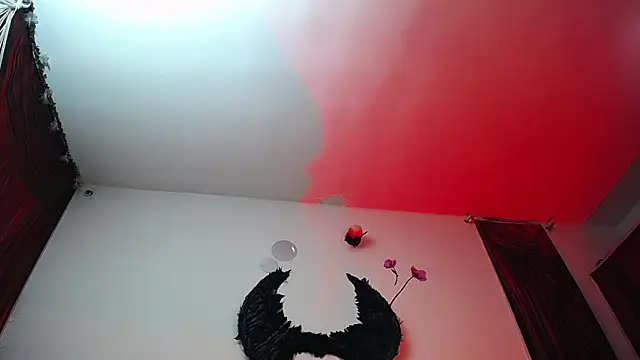 Noha-Wolf webcam