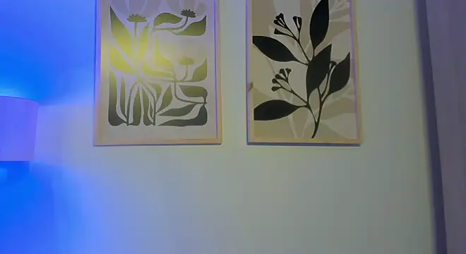 Santana_maximo webcam