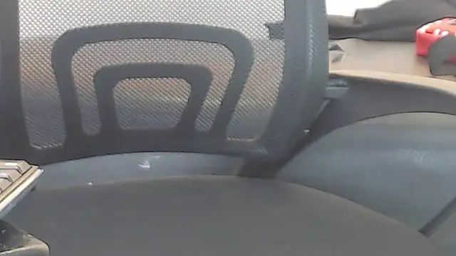 Hollmanhot webcam