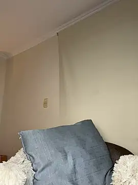 Samispank webcam