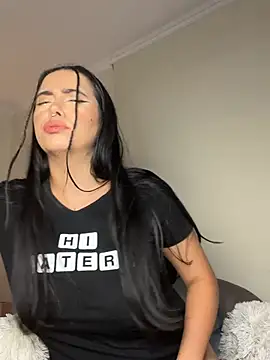 Samispank webcam
