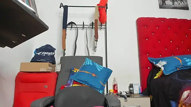Chriss_evanss_ webcam