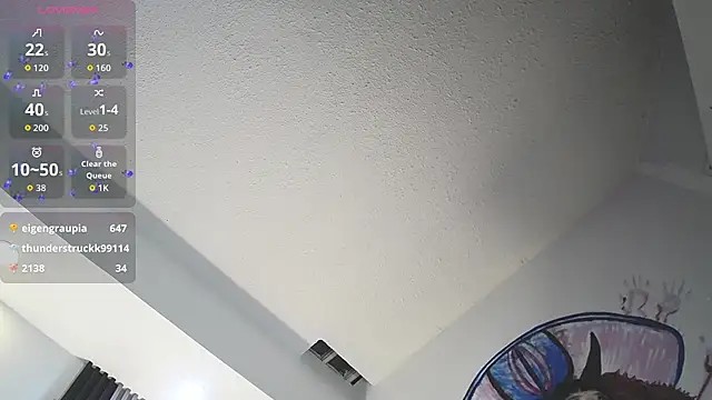 kittyhouse_hs webcam