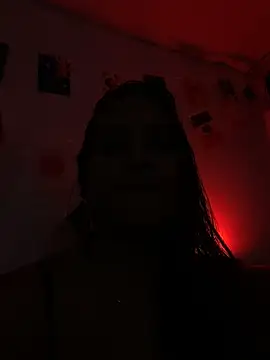 LunaHeat webcam