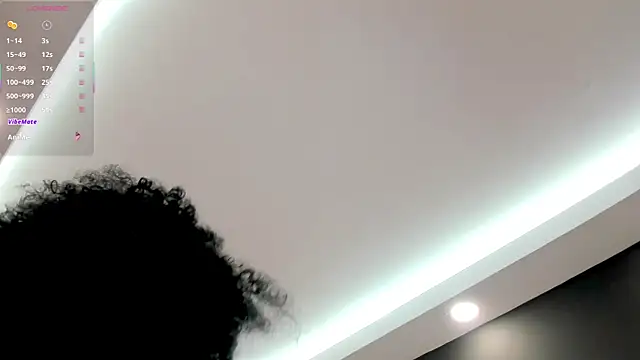 laia_fisher_ webcam
