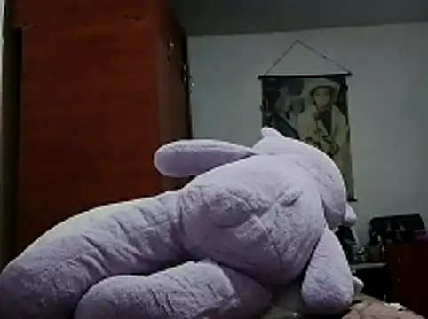 tefutbin3 webcam