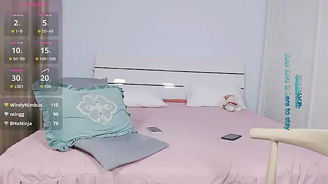 sasating webcam