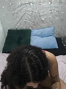 Lyaponci webcam