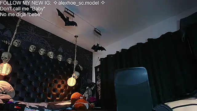 AlexHoe_ webcam