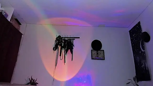 dex_55 webcam