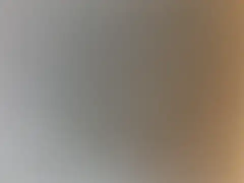 247Srokin webcam