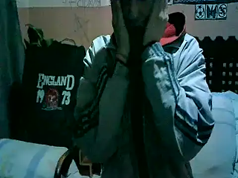 StonedLion webcam
