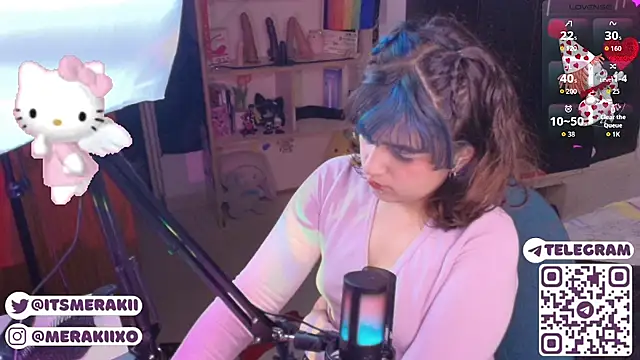 meraki_fraise webcam