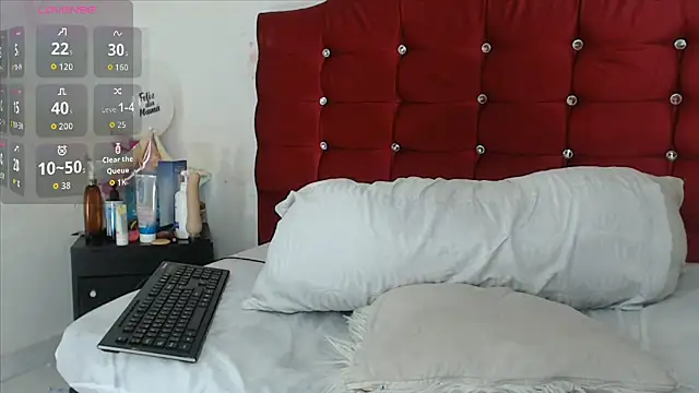 chicago_28 webcam