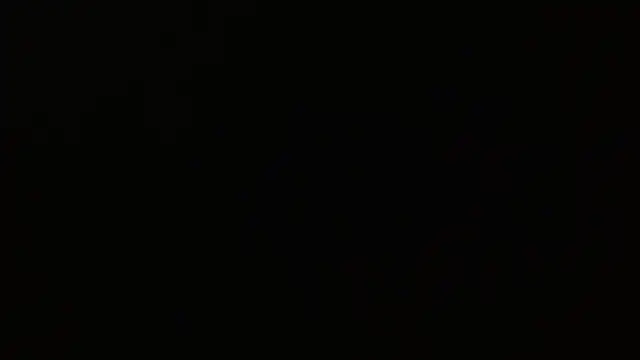 Pandora_9666 webcam