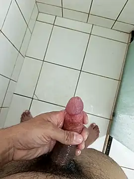 suavara webcam