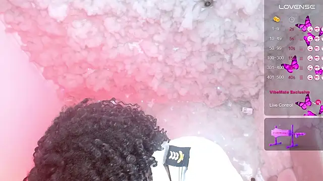 puca_ebony webcam