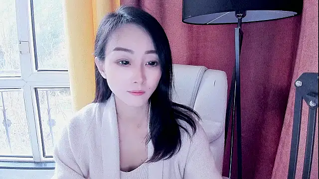 NIAN-er webcam