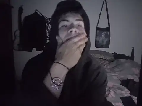 lmlfff webcam