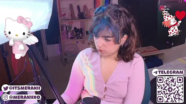 meraki_fraise webcam