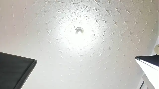 Alison_Chan_ webcam