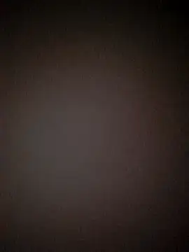 Nick-Ox webcam