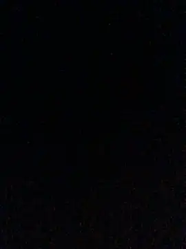 dianagonewild webcam